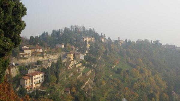 getimage (12).jpg